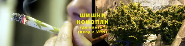 сатива Армянск