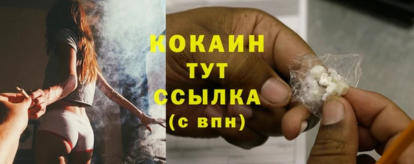 сатива Армянск