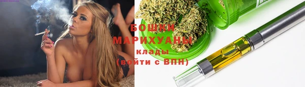 сатива Армянск