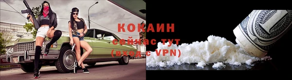 сатива Армянск