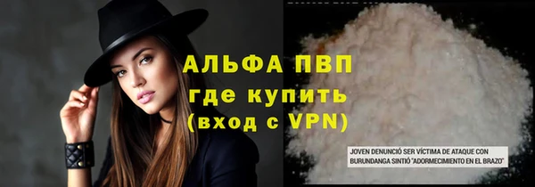 сатива Армянск