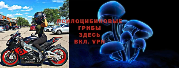 apvp Балахна